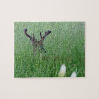 Puzzle Big Buck In Tall Grass
