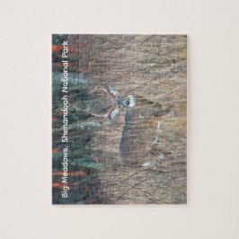 Puzzle Big Buck, Shenandoah National Park