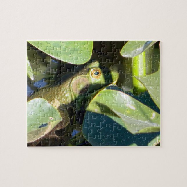 Puzzle Big Bullfrog (Horizontal)
