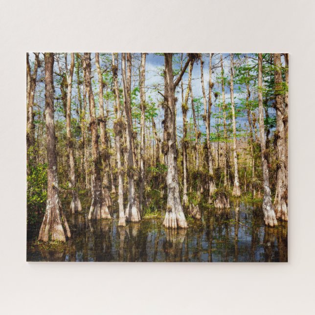 Puzzle Big Cypress Preserve (Horizontal)