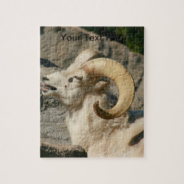 Puzzle Big Horn Sheep Laughing (Vertical)