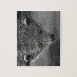 Puzzle Binturong Mirándote