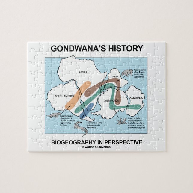 Puzzle Biogeografía de la historia de Gondwana en (Horizontal)