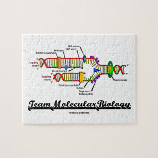 Puzzle Biología molecular del equipo (réplica de la DNA)