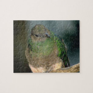 Puzzle Bird