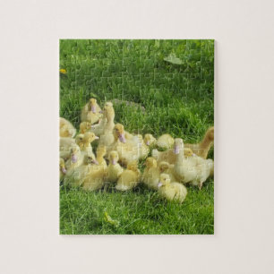 Puzzle bird, duck, duckling, yellow, nature, cute, baby,
