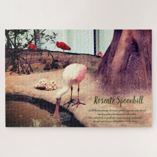 Puzzle Birds Roseate Spoonbill