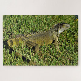 Puzzle Bisagras verdes de iguana en hierba