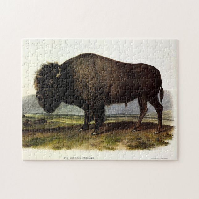 Puzzle Bison Americano, o Búfalo (Bison bison) - Audubon (Horizontal)