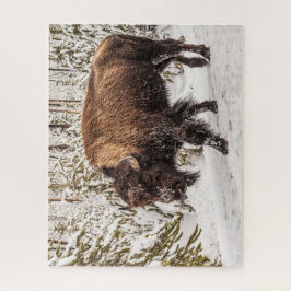 Puzzle Bison (Bison bison) - Búfalo - Nieve - 520 piezas
