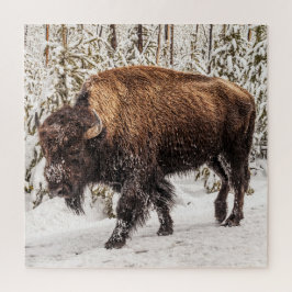 Puzzle Bison (Bison bison) - Búfalo - Nieve - 676 pieza