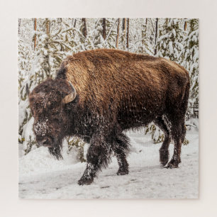 Puzzle Bison (Bison bison) - Búfalo - Nieve - 676 pieza