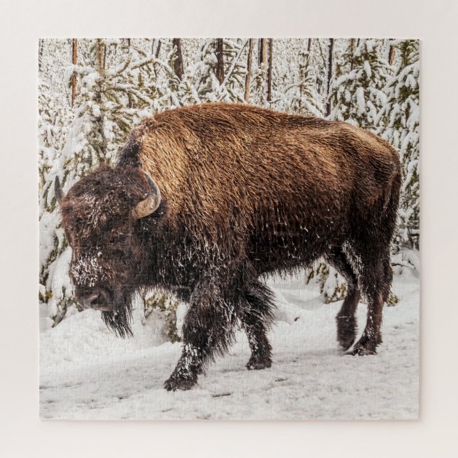 Puzzle Bison (Bison bison) - Búfalo - Nieve - 676 pieza (Vertical)