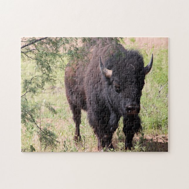 Puzzle Bison Close (Horizontal)
