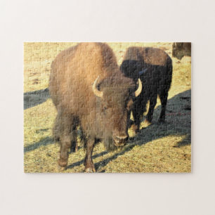 Puzzle Bison de Colorado