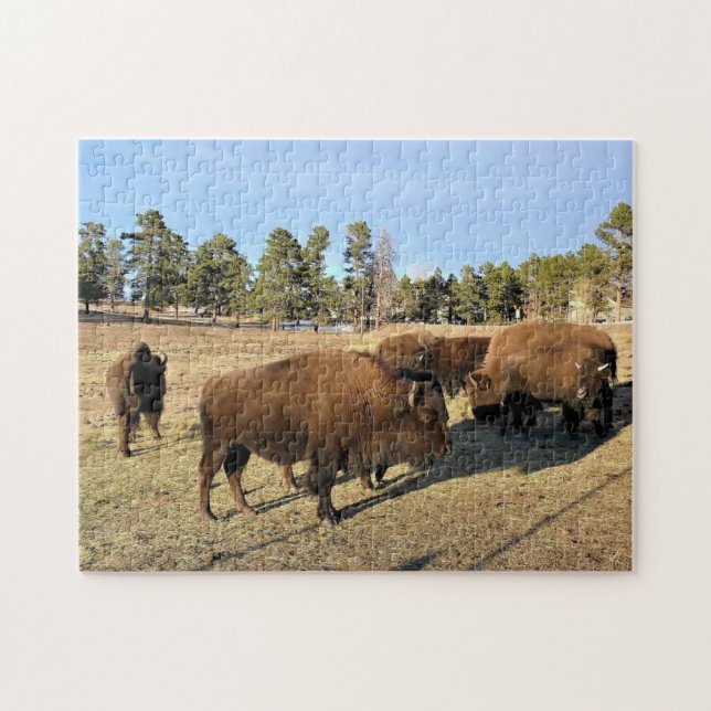 Puzzle Bison de Colorado (Horizontal)