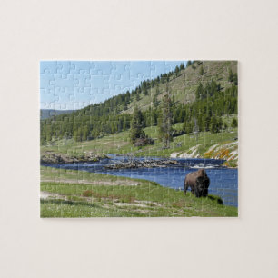 Puzzle Bison en el Parque Nacional Yellowstone