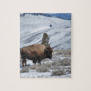 Puzzle Bison en las Montañas de Invierno de Yellowstone