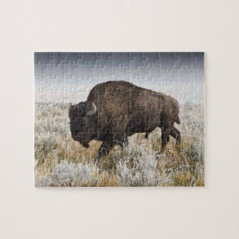 Puzzle Bison o Búfalo Americanos