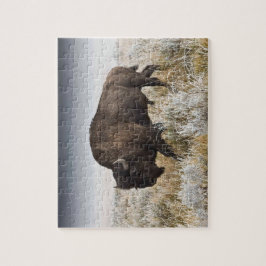 Puzzle Bison o Búfalo Americanos