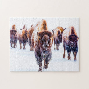 Puzzle Bison Yellowstone Wyoming.