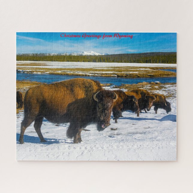 Puzzle Bison Yellowstone Wyoming. Felicitaciones de Navid (Horizontal)