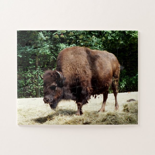 Puzzle Bisonte animal (Horizontal)