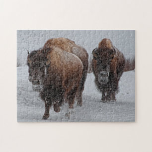 Puzzle Bisonte de Yellowstone