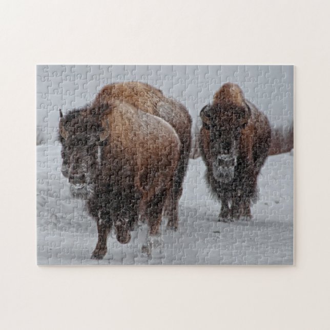 Puzzle Bisonte de Yellowstone (Horizontal)