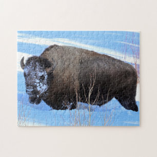 Puzzle Bisonte de Yellowstone de pie en nieve profunda