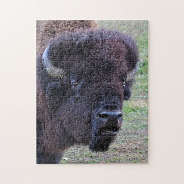 Puzzle Bisonte dominante de Bull (Vertical)
