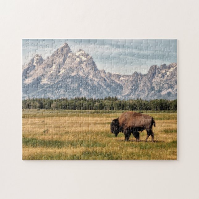 Puzzle Bisonte en el Tetons (Horizontal)