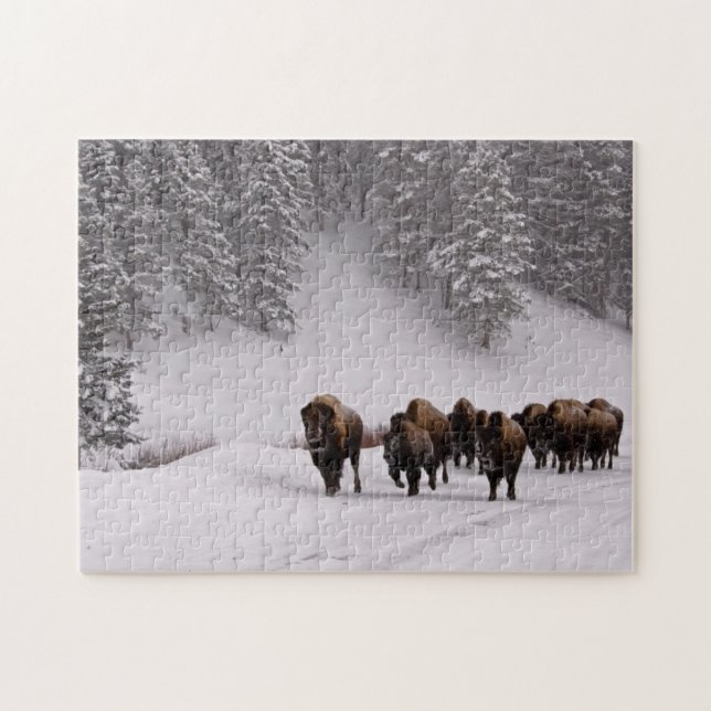 Puzzle Bisonte en invierno (Horizontal)