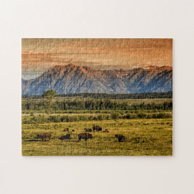 Puzzle Bisonte en la salida del sol (Horizontal)