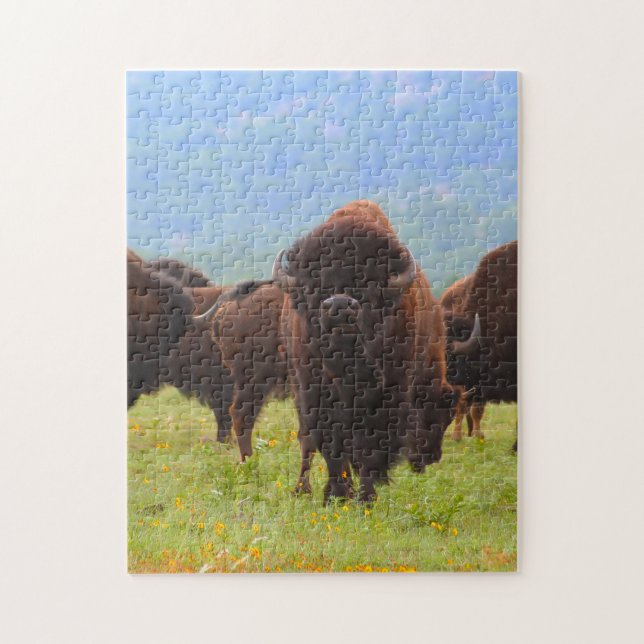 Puzzle Bisonte salvaje Oklahoma. (Vertical)