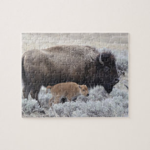 Puzzle Bisonte vaca y ternero, Yellowstone