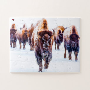 Puzzle Bisonte Yellowstone Wyoming