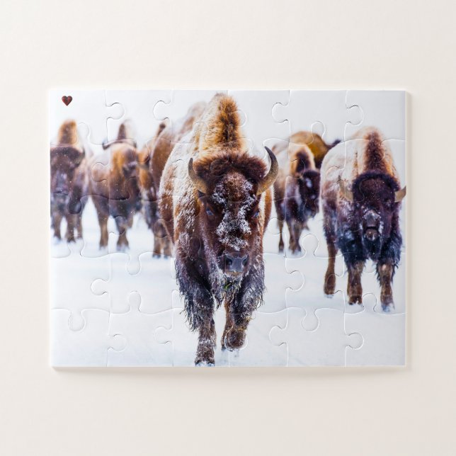 Puzzle Bisonte Yellowstone Wyoming (Horizontal)