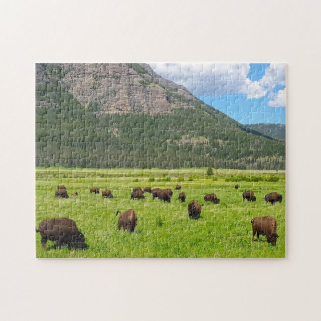 Puzzle Bisson Montana. (Horizontal)