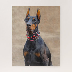 Puzzle Black and Tan Doberman Pinscher
