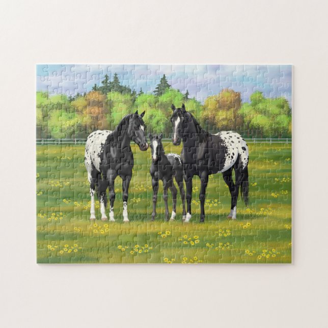 Puzzle Black Appaloosa Horses In Summer Pasture (Horizontal)