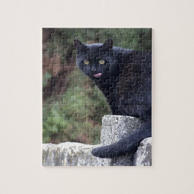 Puzzle Black Cat (Vertical)