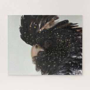 Puzzle Black Cockatoo