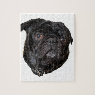Puzzle Black Funny Pug