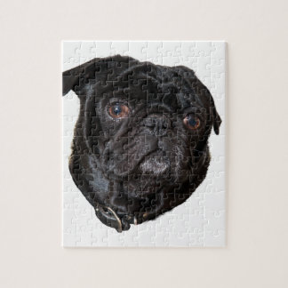 Puzzle Black Funny Pug