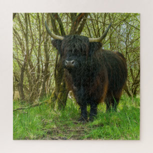 Puzzle Black Highland Cow