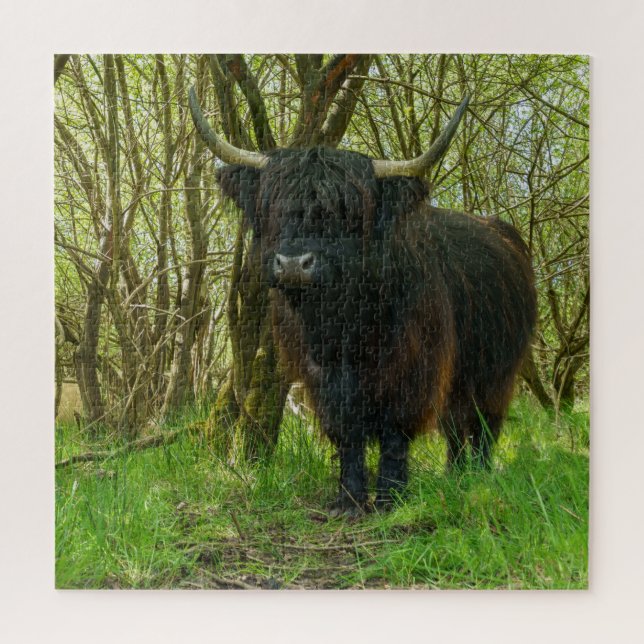 Puzzle Black Highland Cow (Vertical)