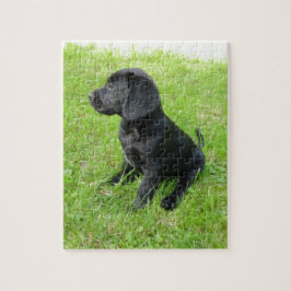 Puzzle Black Labrador Retriever On Grass