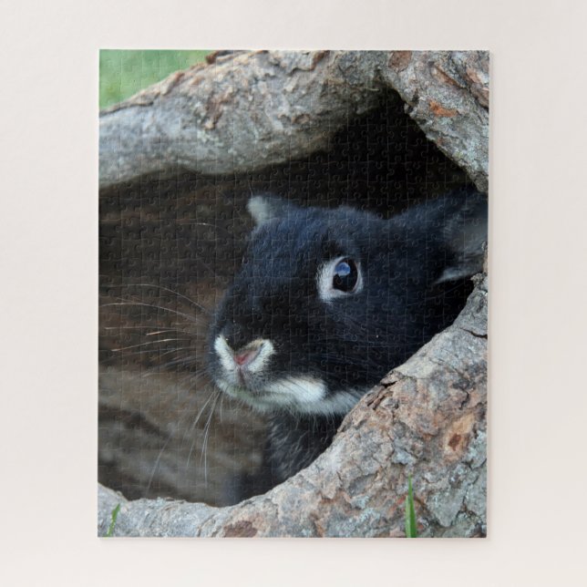 Puzzle Black Rabbit in Hollow of a Tree Photo (Vertical)