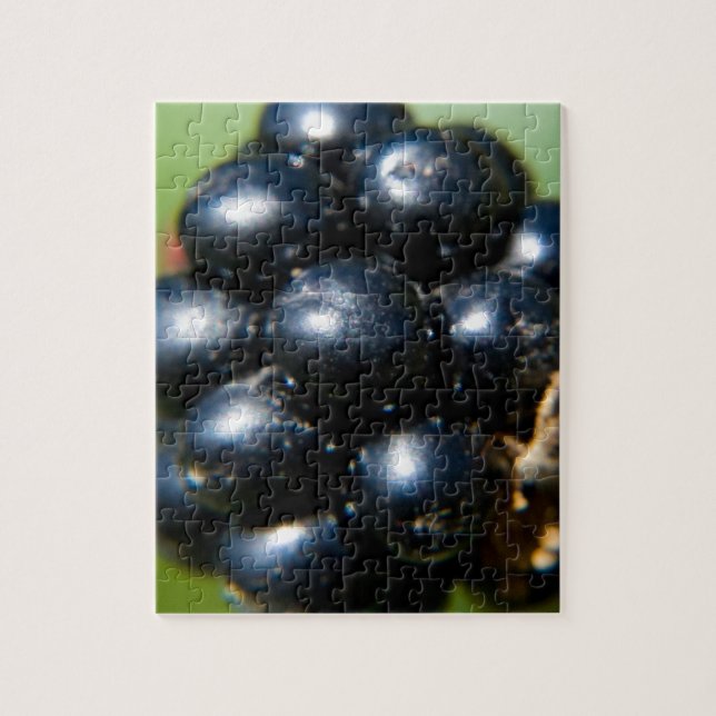 Puzzle Blackberries (Vertical)